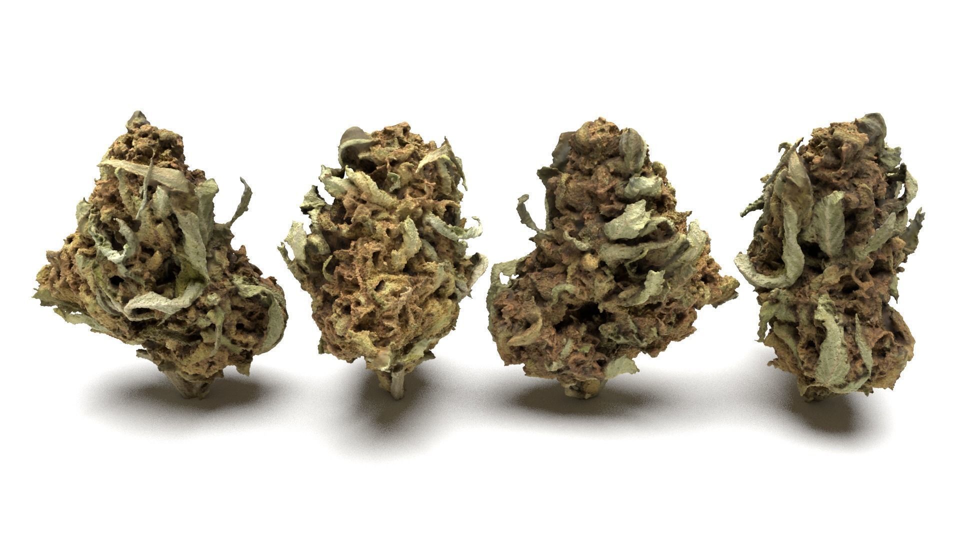 Cannabis Buds 3-Pack 3D Model Collection_3
