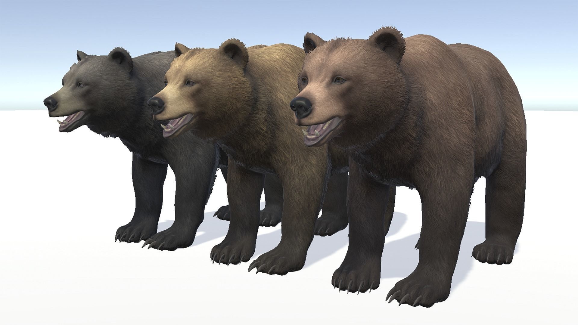 BEAR - FEMALE Low-poly 3D model_5