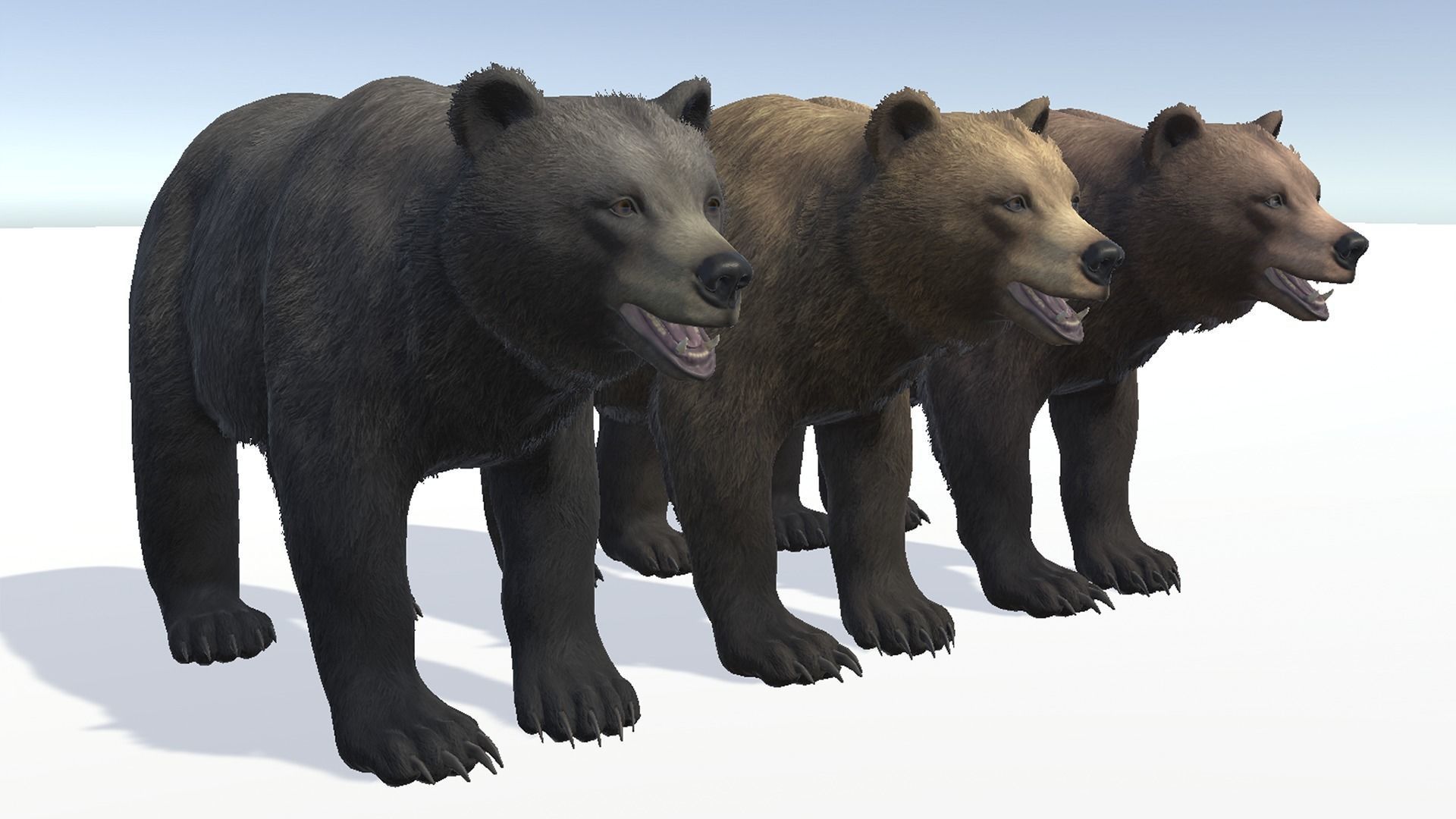 BEAR - FEMALE Low-poly 3D model_7