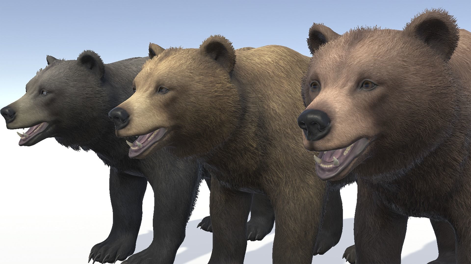 BEAR - FEMALE Low-poly 3D model_10