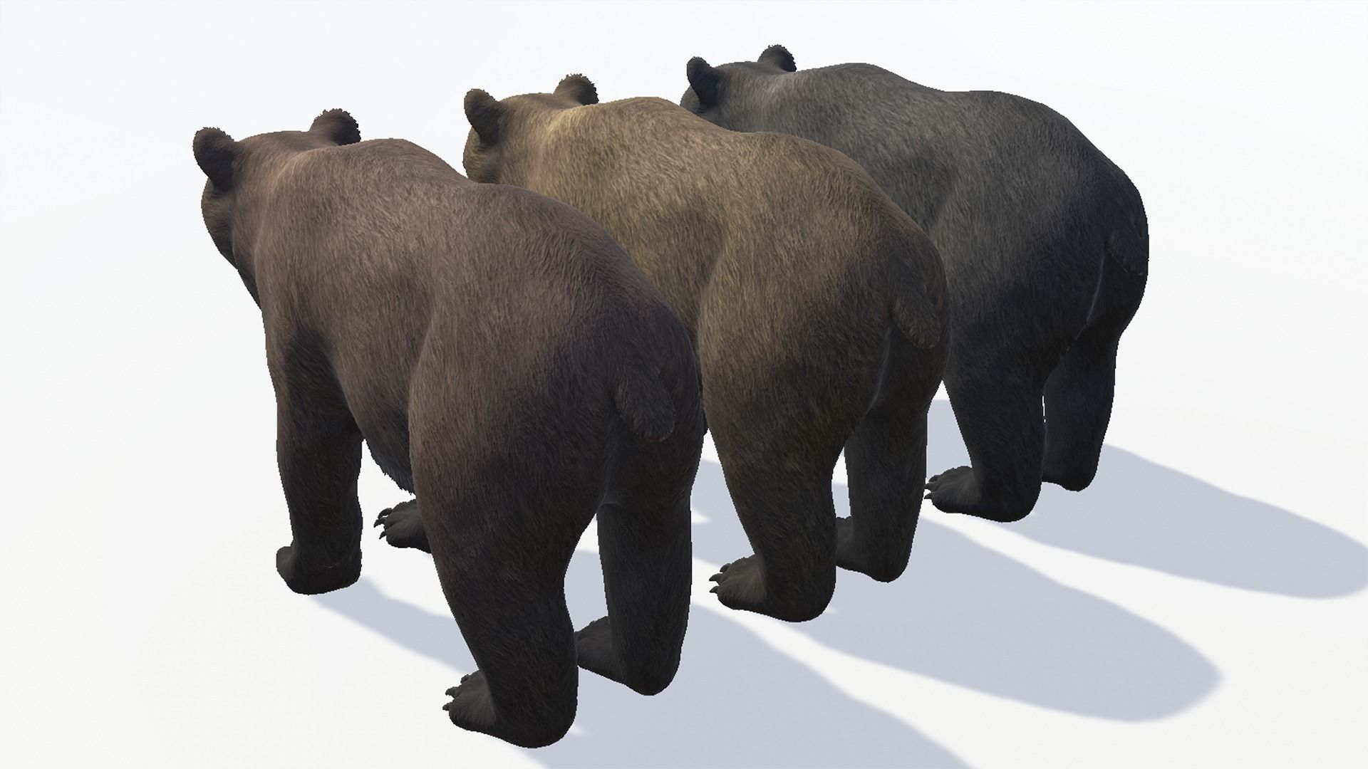BEAR - FEMALE Low-poly 3D model_9
