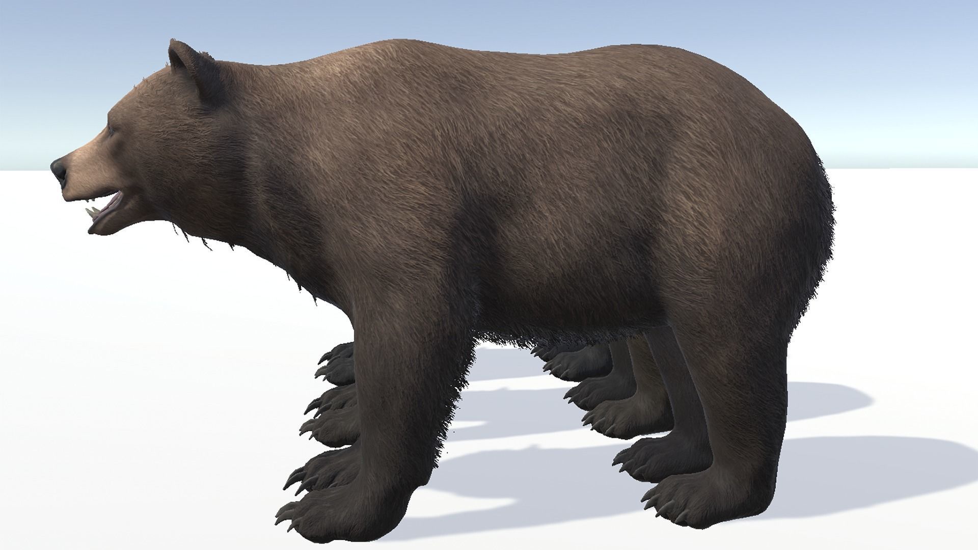 BEAR - FEMALE Low-poly 3D model_8