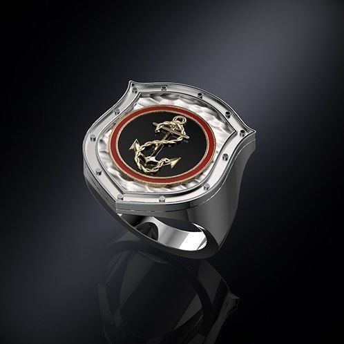 Ring shield whit anchor 3D print model
