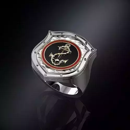 Ring shield whit anchor 3D print model