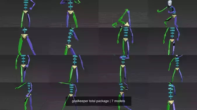 goalkeeper total package