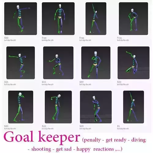 goalkeeper total package 3D Model Collection