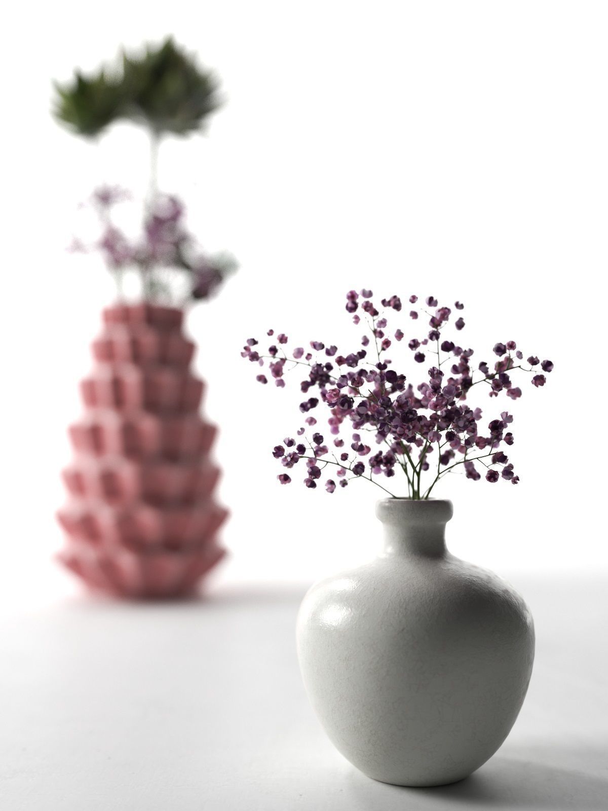 Vases with Echeveria 3D model_2