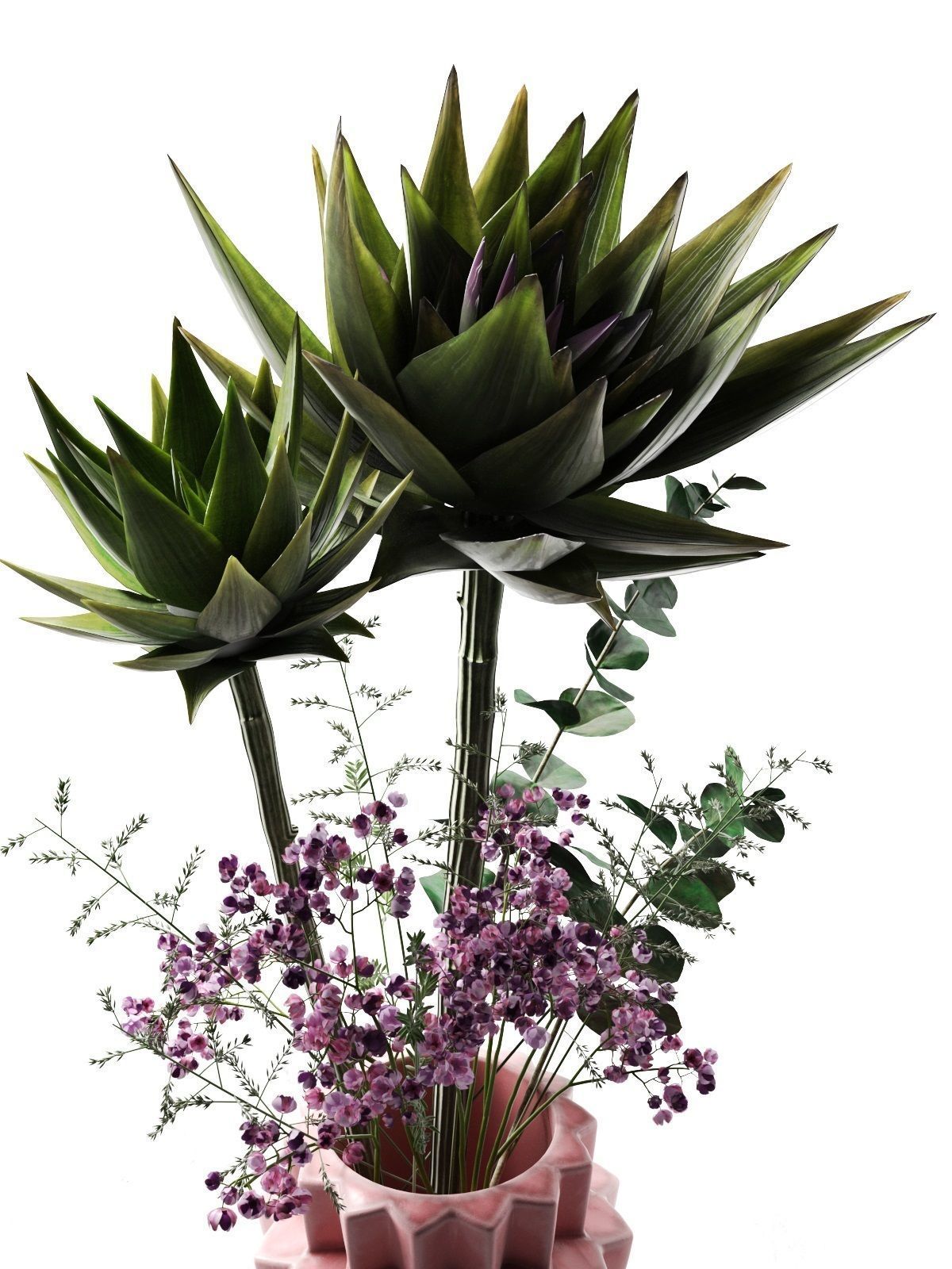 Vases with Echeveria 3D model_1