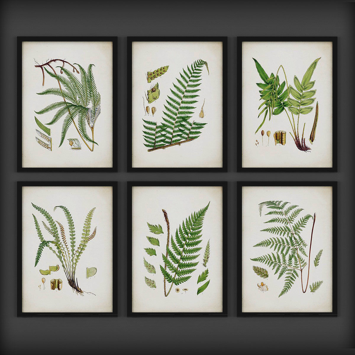 Picture Frames  Low-poly 3D model_1