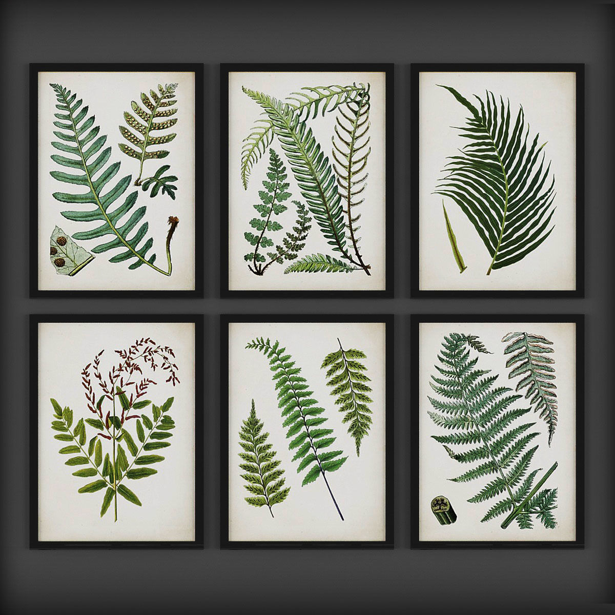 Picture Frames  Low-poly 3D model_2