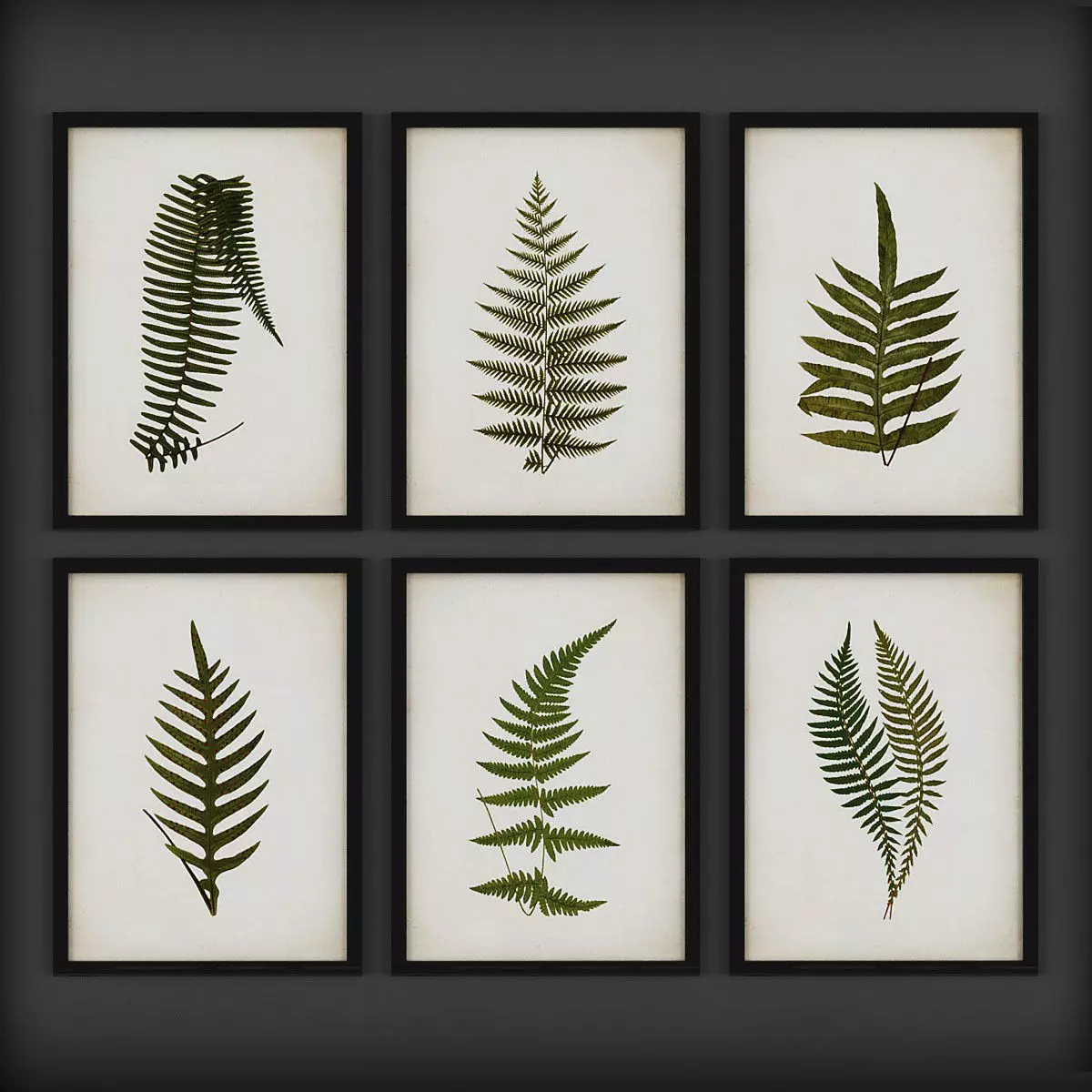 Picture Frames  Low-poly 3D model_0