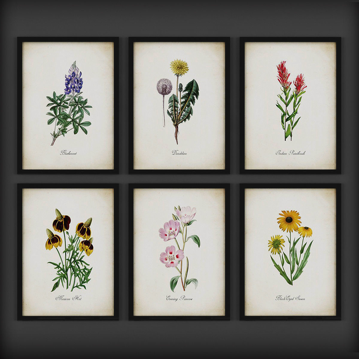 Picture Frames Low-poly 3D model_2