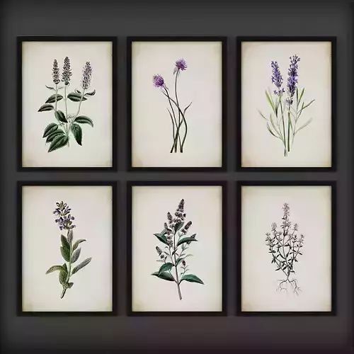 Picture Frames Low-poly 3D model