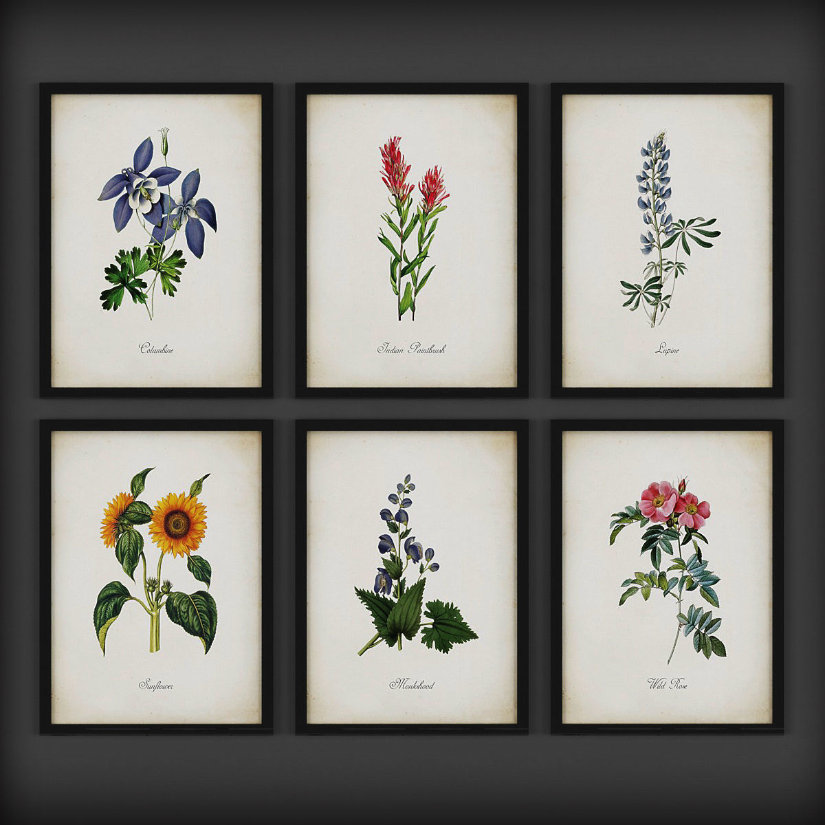 Picture Frames Low-poly 3D model_2