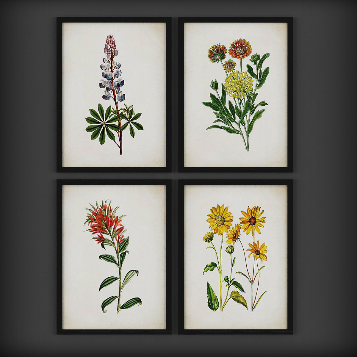 Picture Frames Low-poly 3D model_1