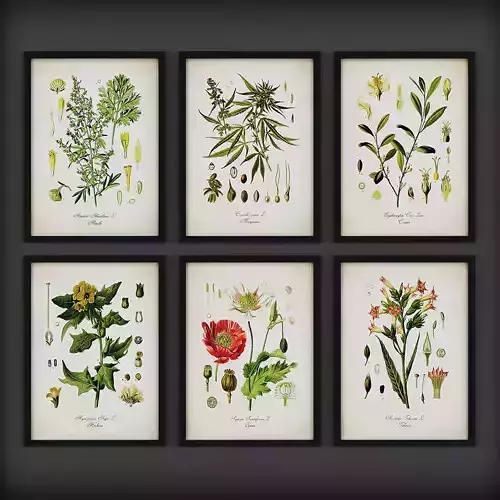 Picture Frames Low-poly 3D model