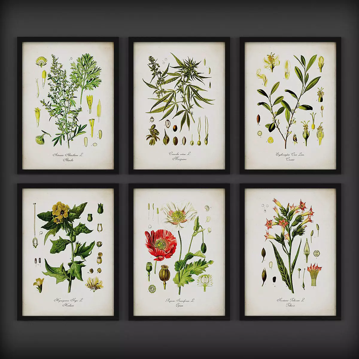 Picture Frames Low-poly 3D model_0