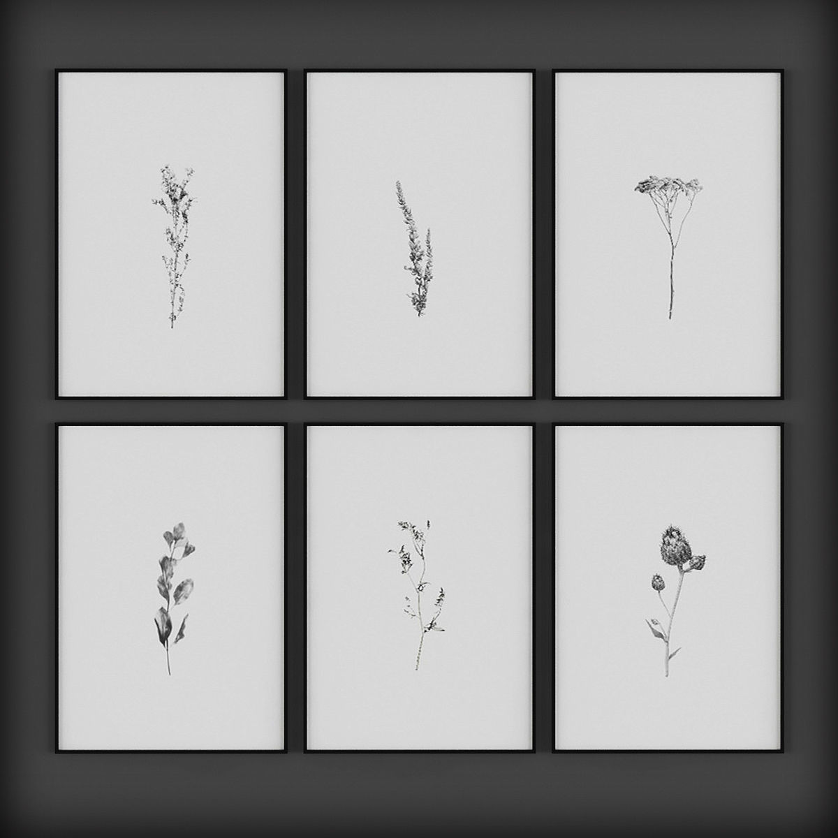 Picture Frames
