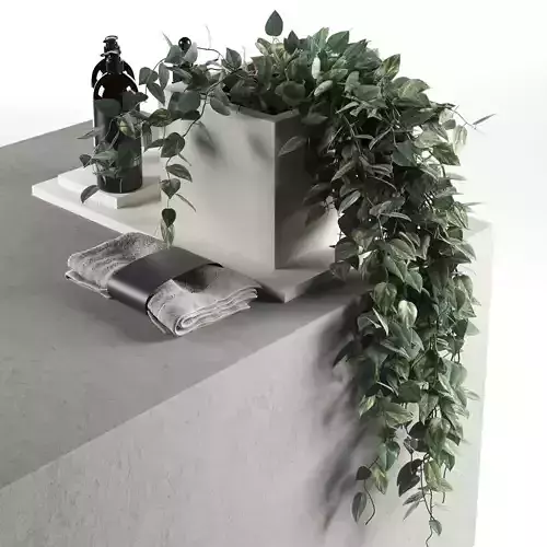 Plants with Body Care Products