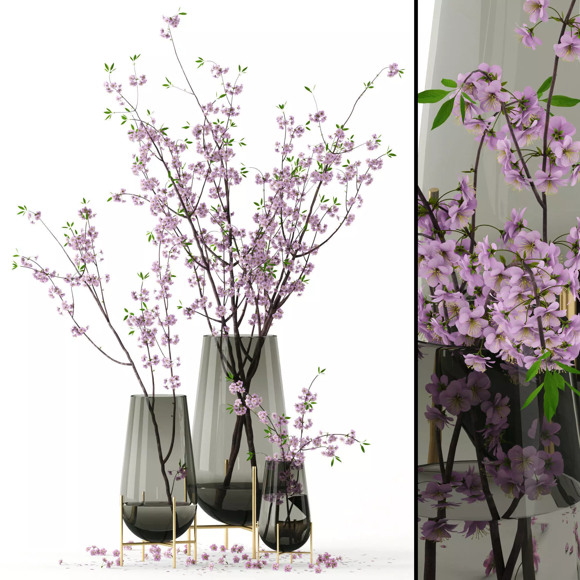 Cherry blossom in Echasse Vases 3D model_0