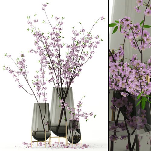 Cherry blossom in Echasse Vases 3D model