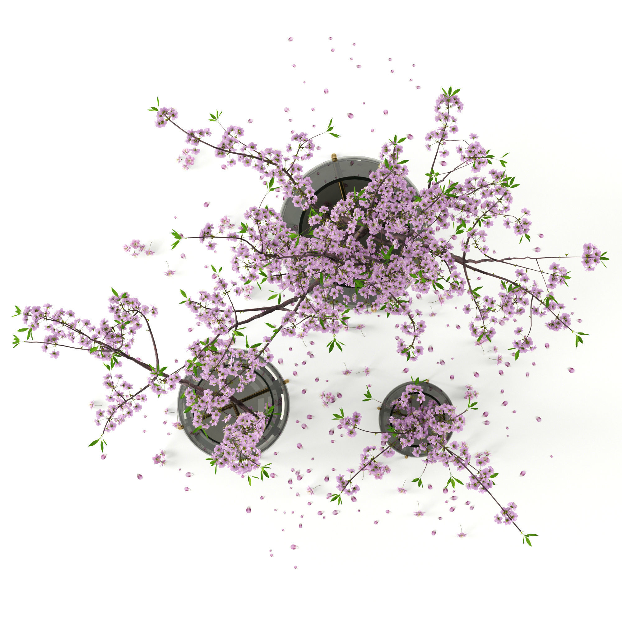 Cherry blossom in Echasse Vases 3D model_3