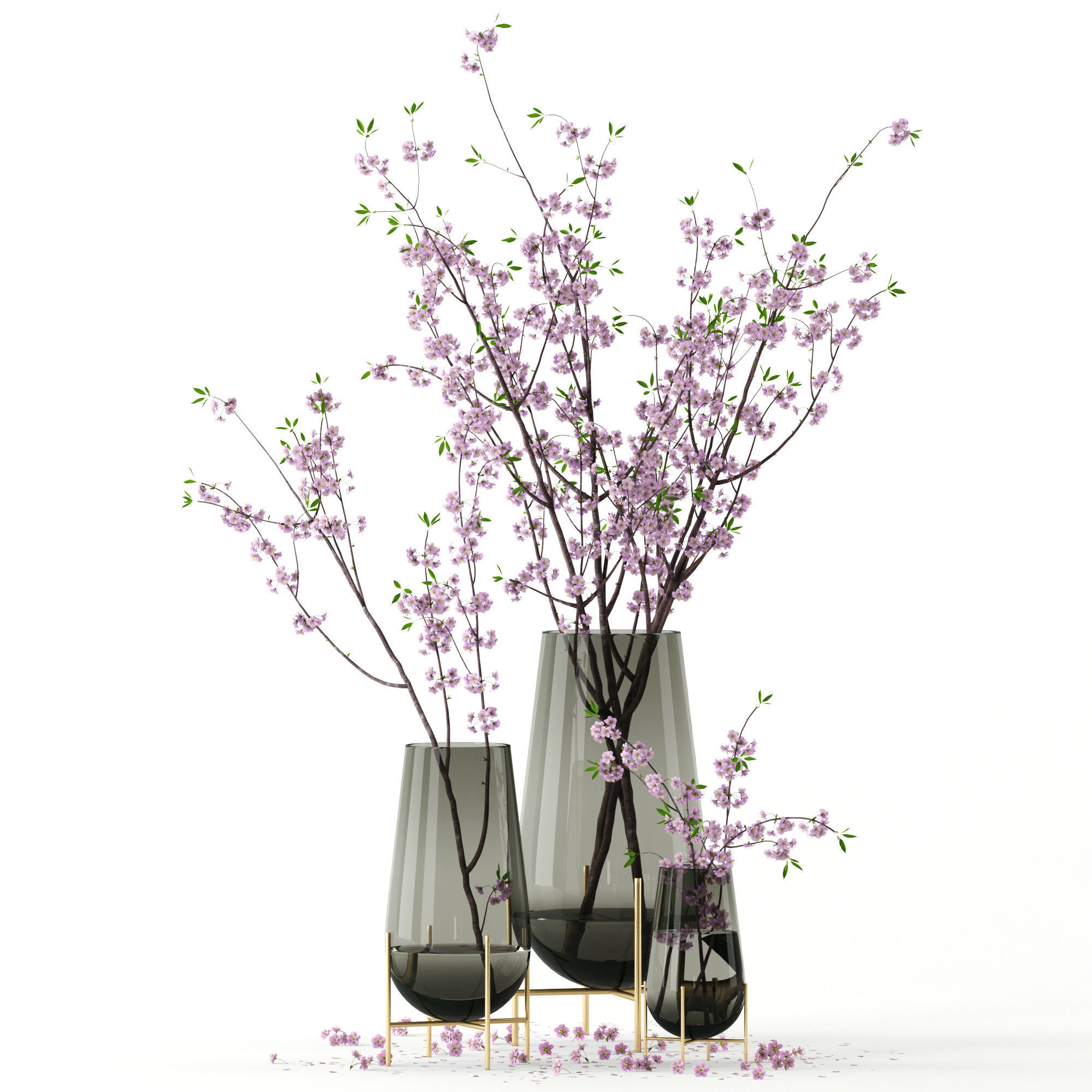 Cherry blossom in Echasse Vases 3D model_1