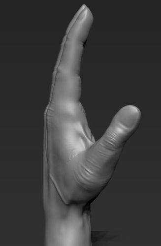 Human hand 3D model