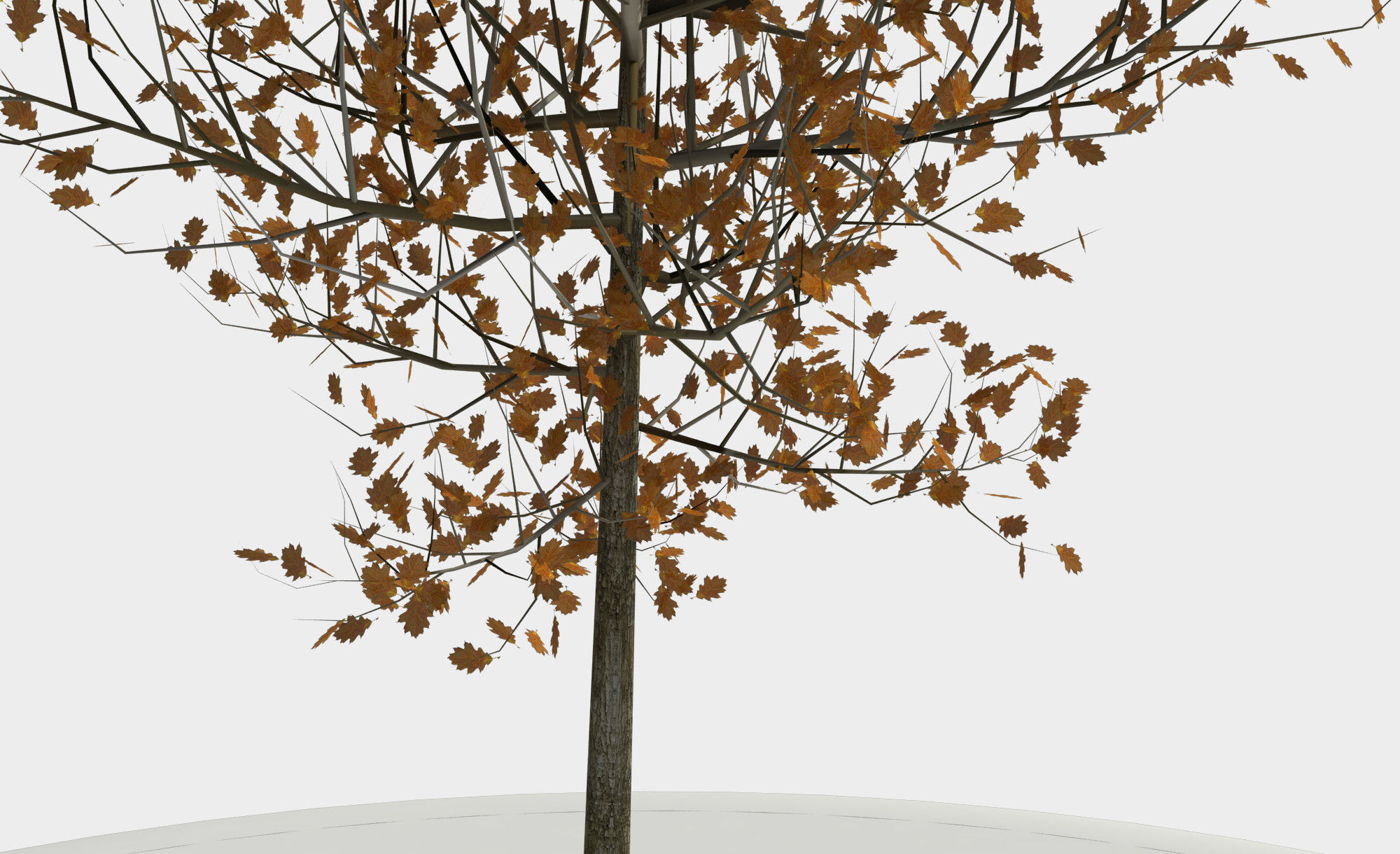 Tree 3D model_9
