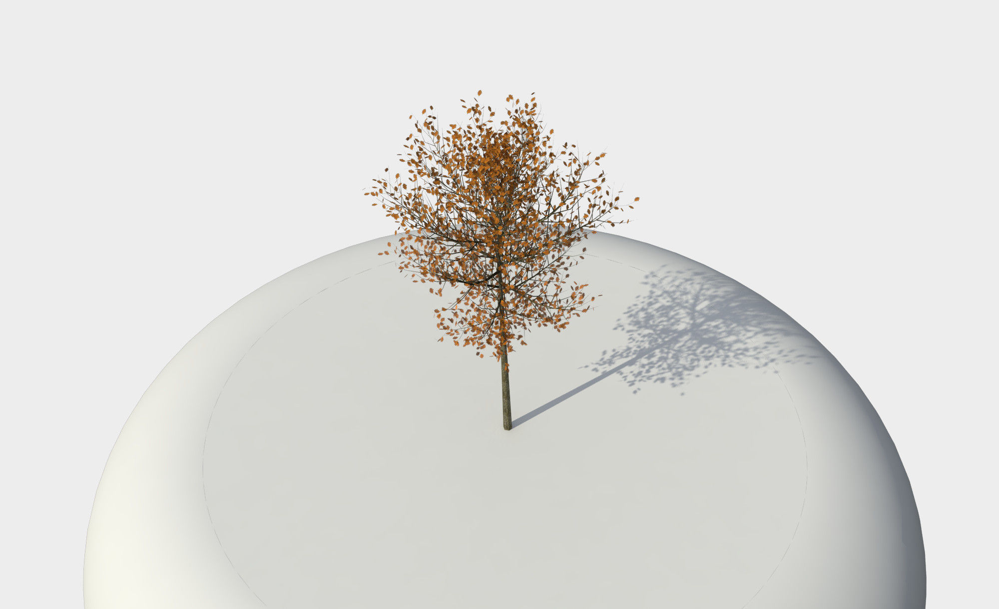 Tree 3D model_2