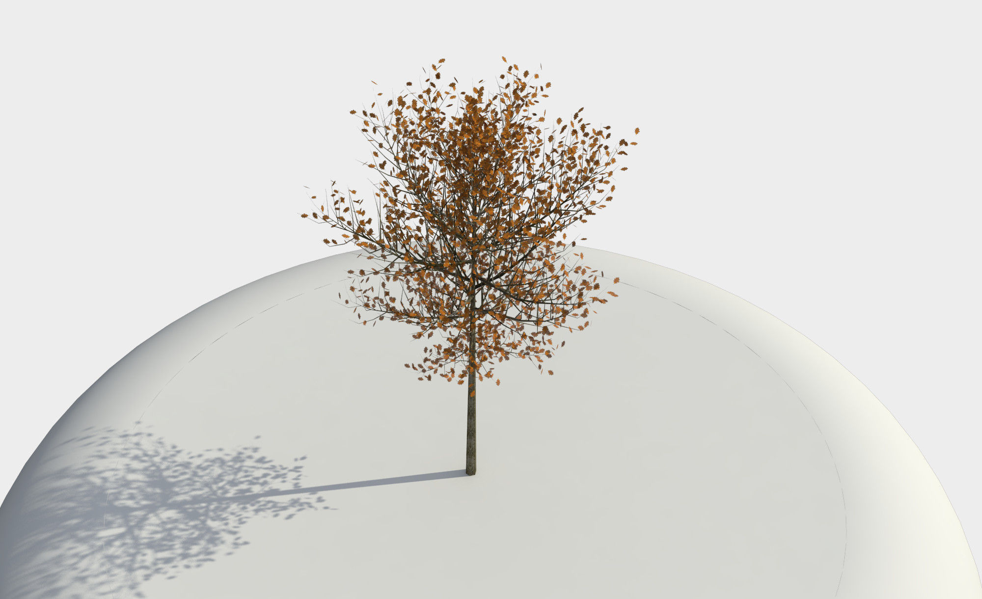 Tree 3D model_1
