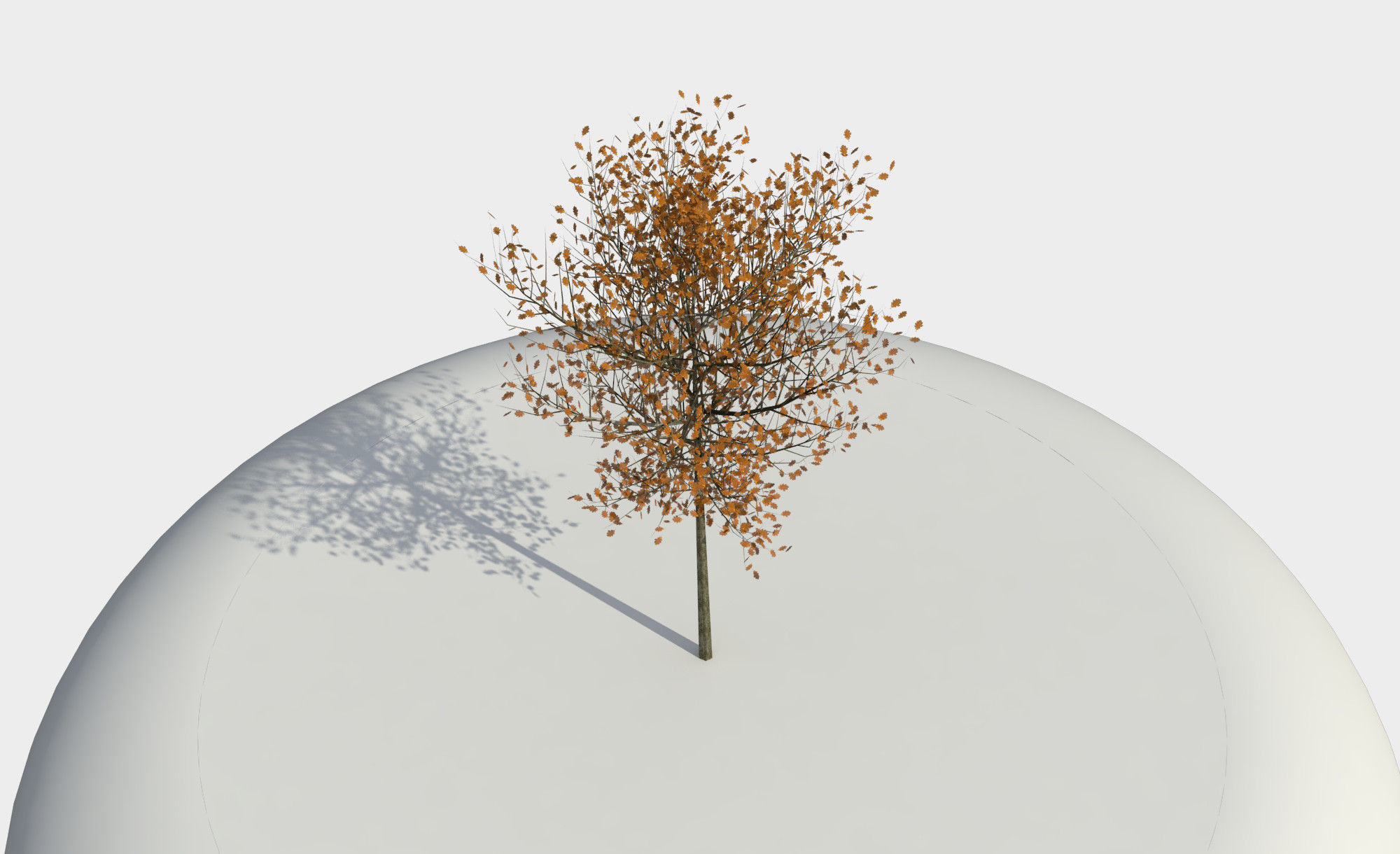 Tree 3D model_6