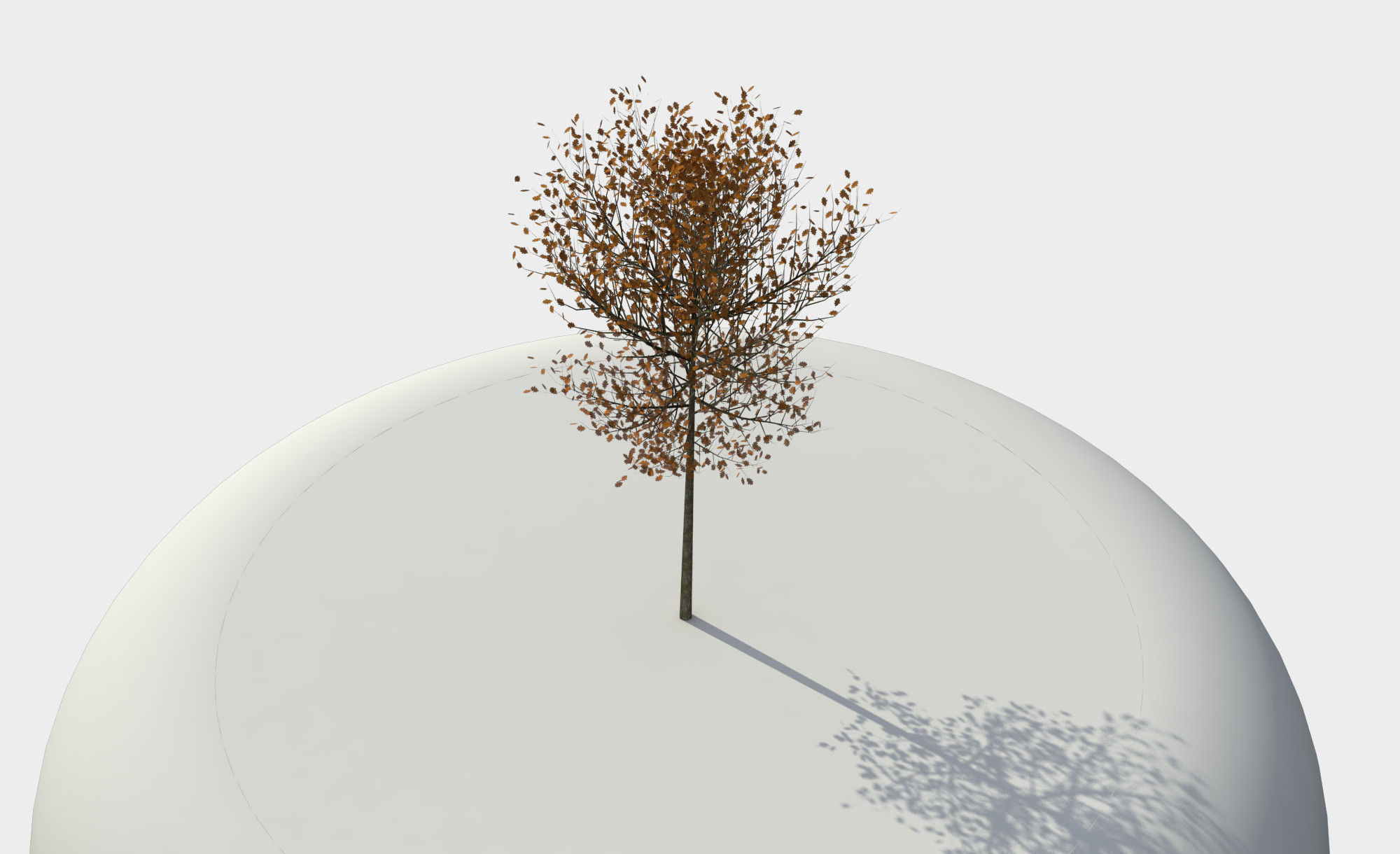 Tree 3D model_10