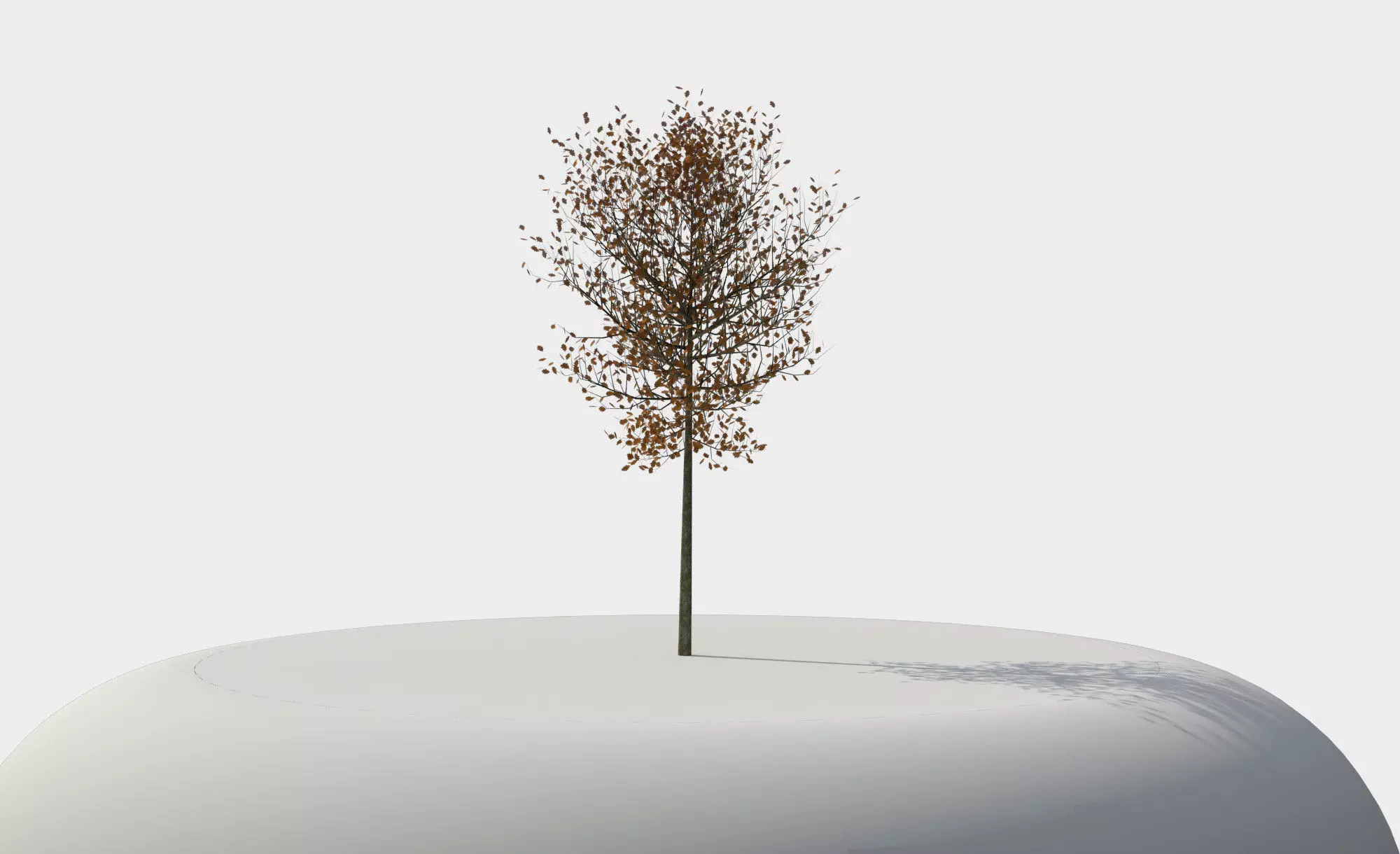 Tree 3D model_0