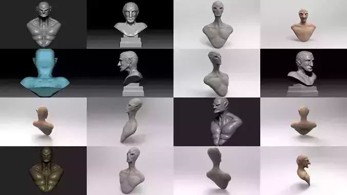 Head Variety Collection 