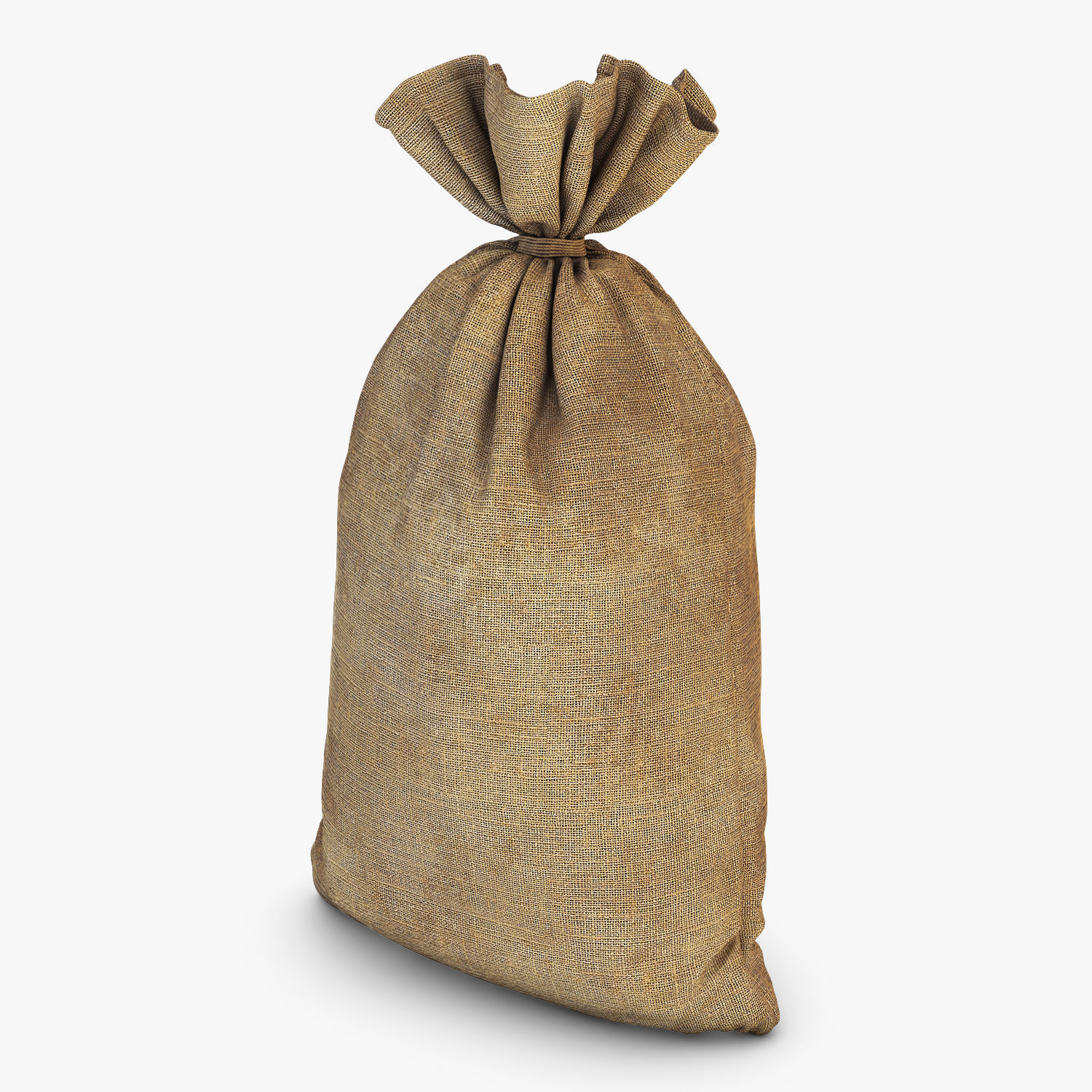 Sack v 2 bag 3D model_1