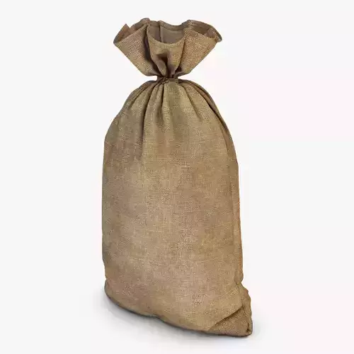 Sack v 2 bag 3D model