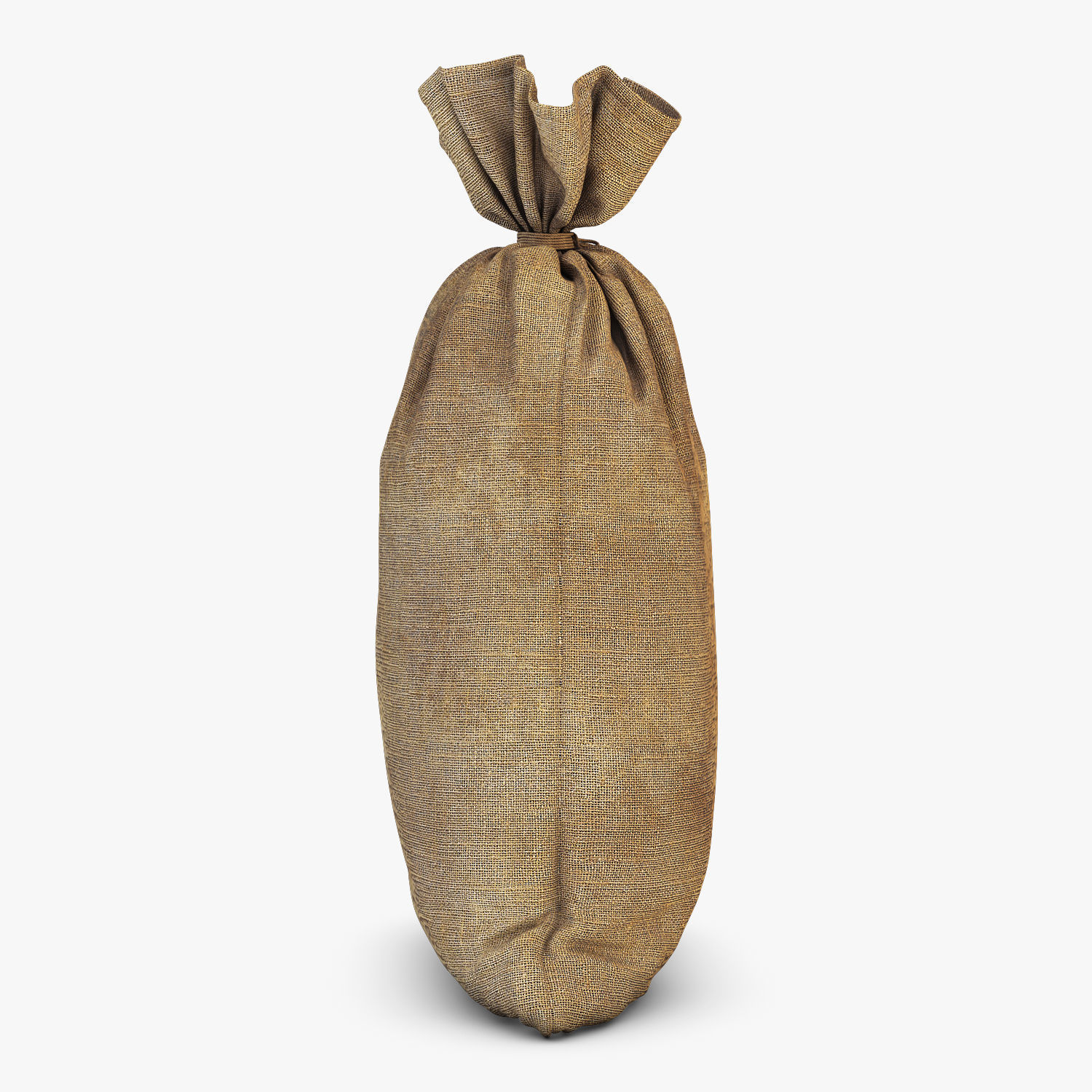 Sack v 2 bag 3D model_4