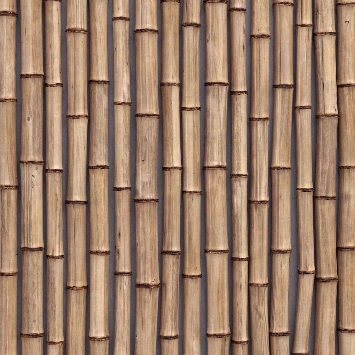 Bamboo decor n24 3D model_2