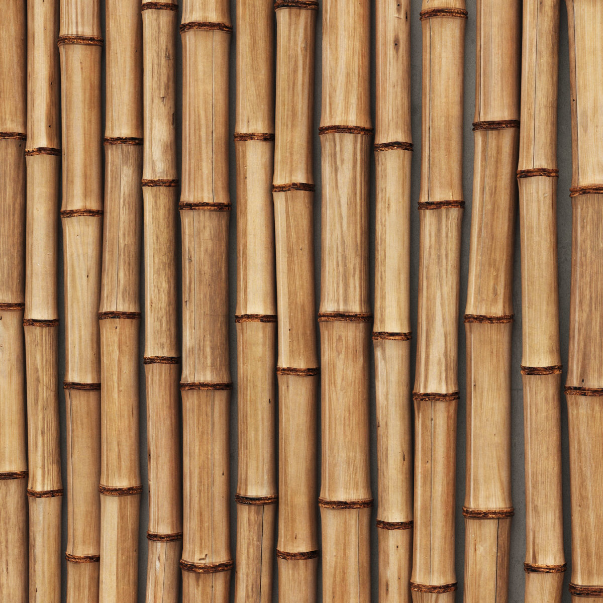 Bamboo decor n24 3D model_1