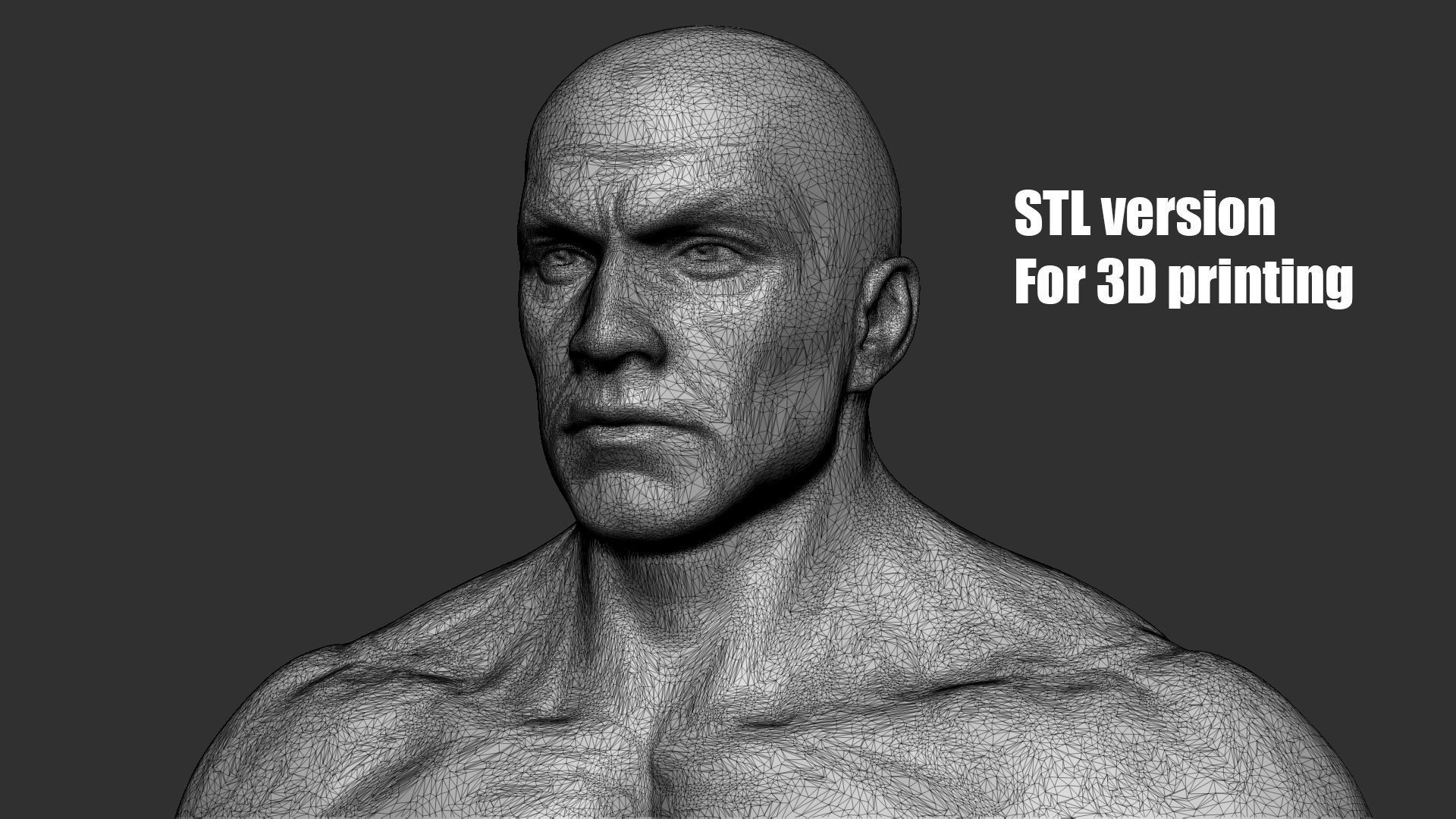 Superhero Basemesh 3D model_22