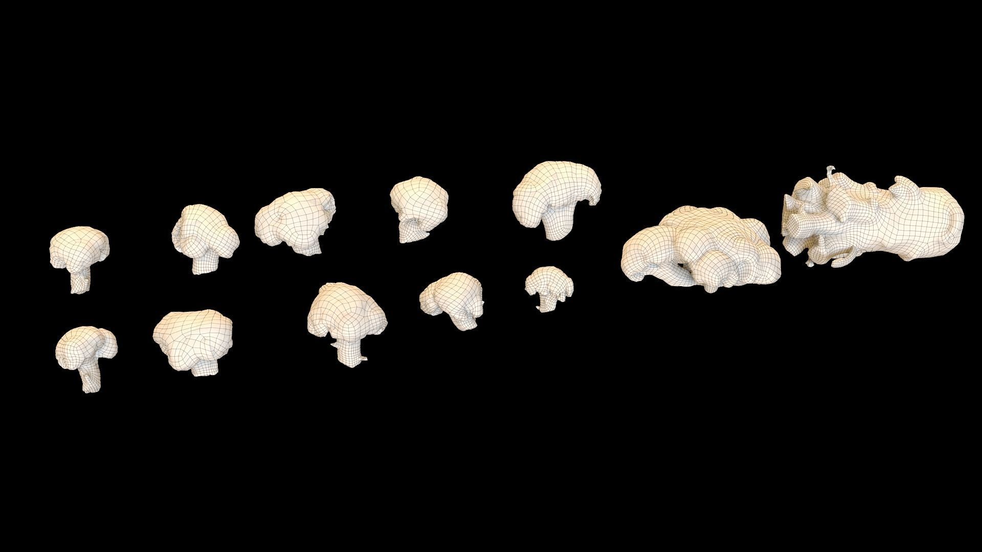 Broccoli two pieces of Low-poly 3D model_4