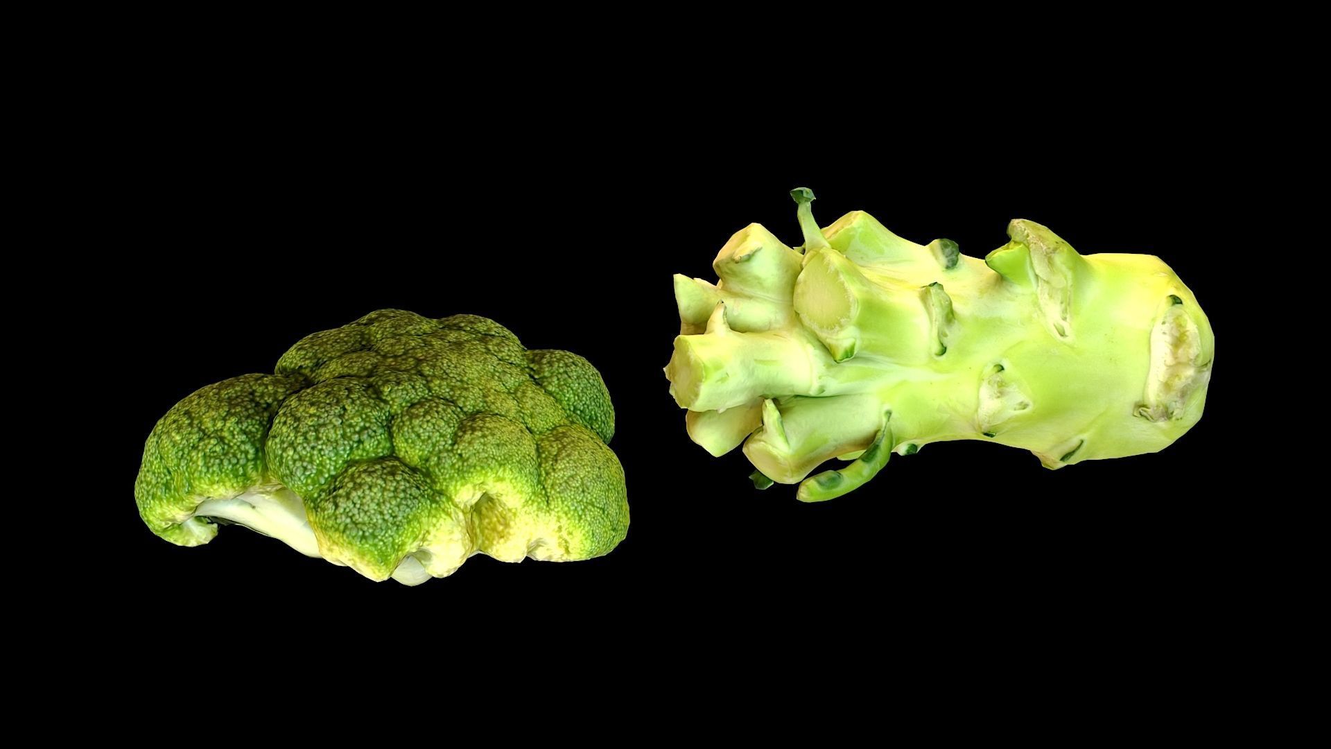 Broccoli two pieces of Low-poly 3D model_2
