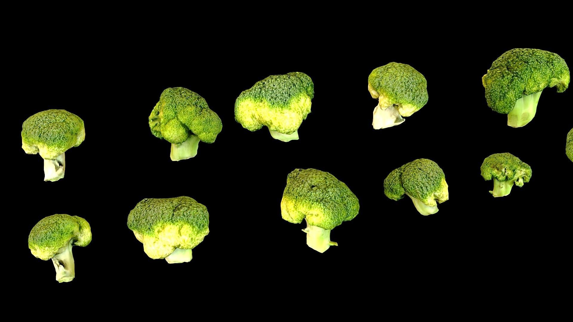 Broccoli two pieces of Low-poly 3D model_3