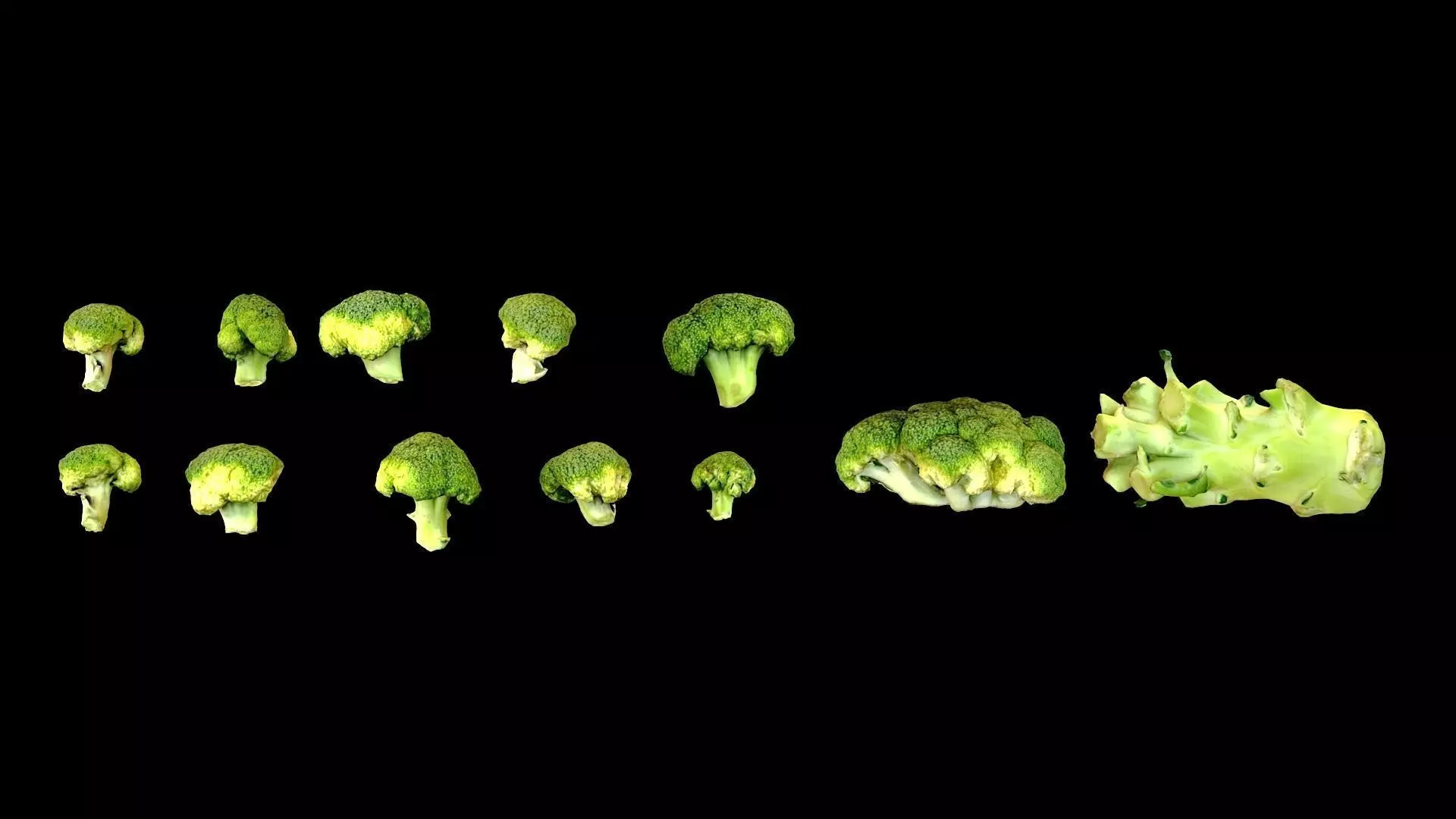 Broccoli two pieces of Low-poly 3D model_0