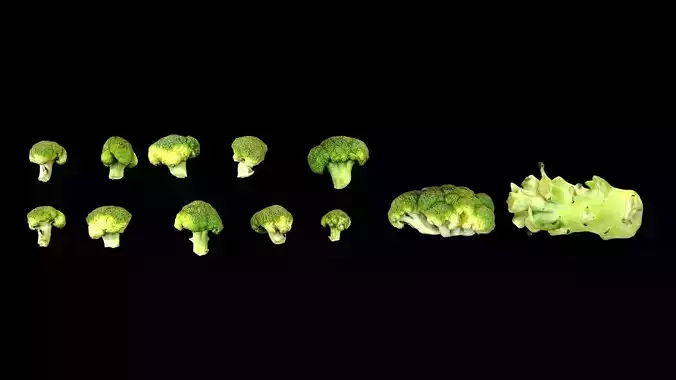 Broccoli two pieces of