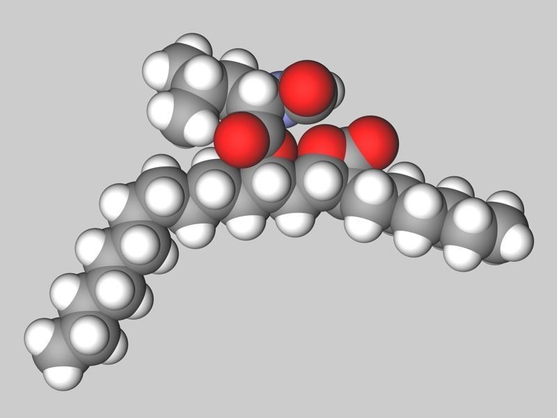 Collection of anti-obesity drug molecules 3D model_13