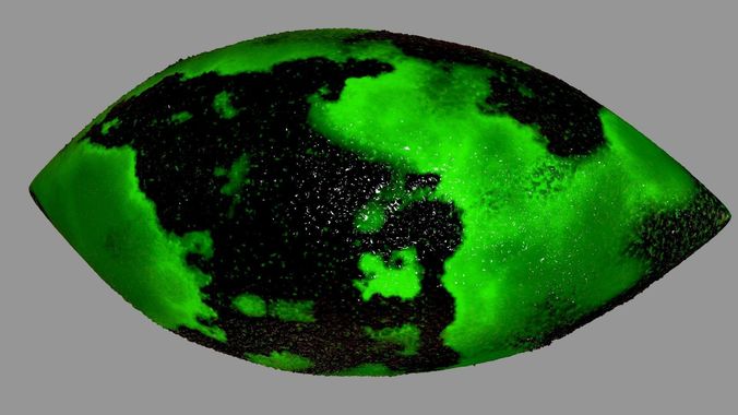 Alien Egg - multiple variants 3D model