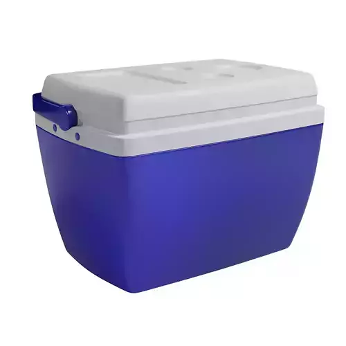 Cooler ice box