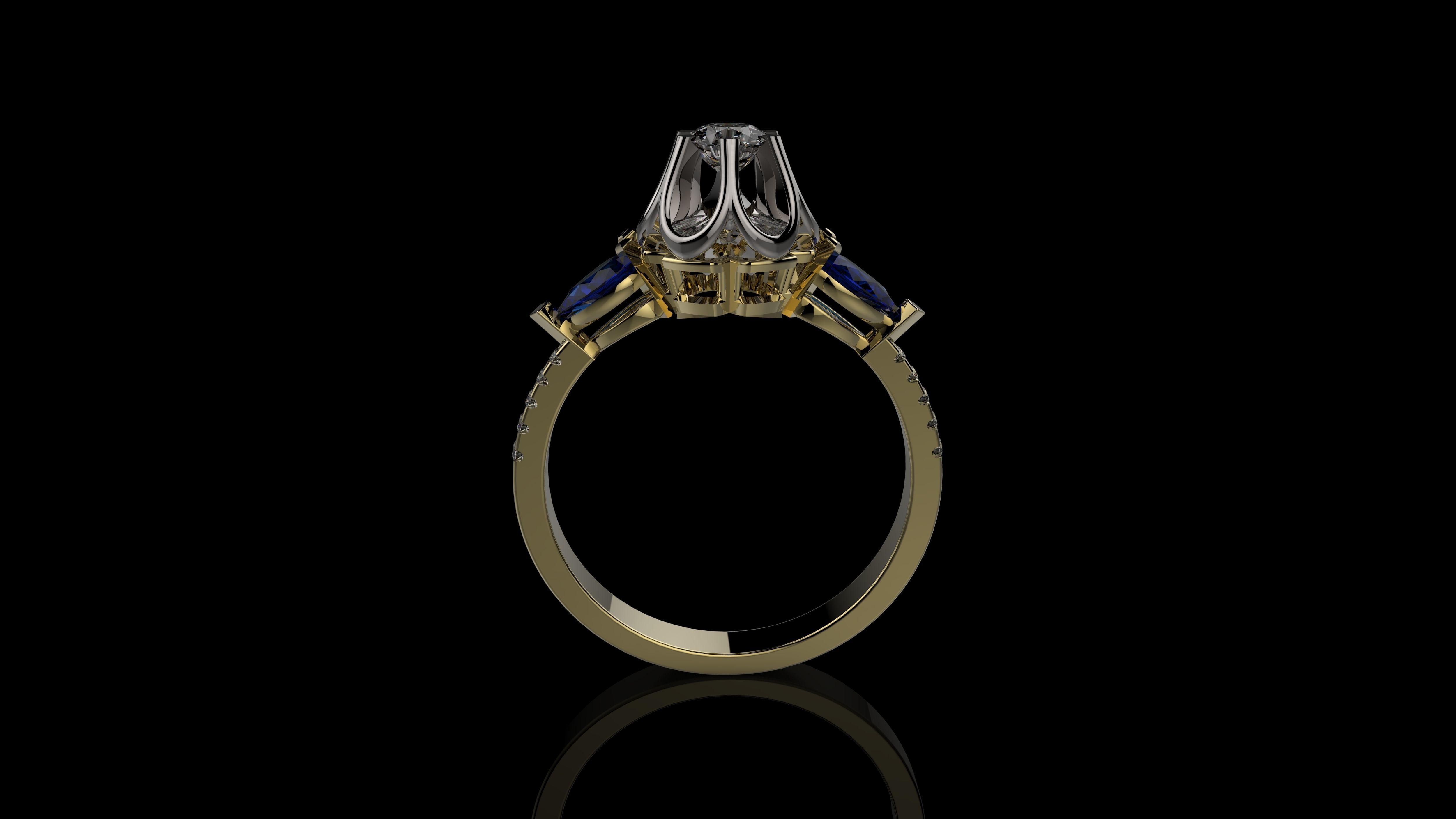 A RINGS N19 3D print model_1